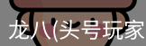 头号玩家龙8